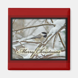 Christmas Black Capped Chickadee in Snow Magnet