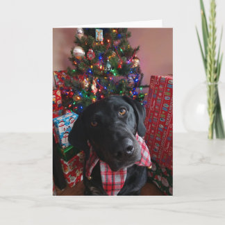 Christmas - Black Lab Card