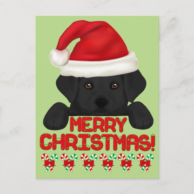 Christmas Black Labrador Puppy! Holiday Postcard (Front)