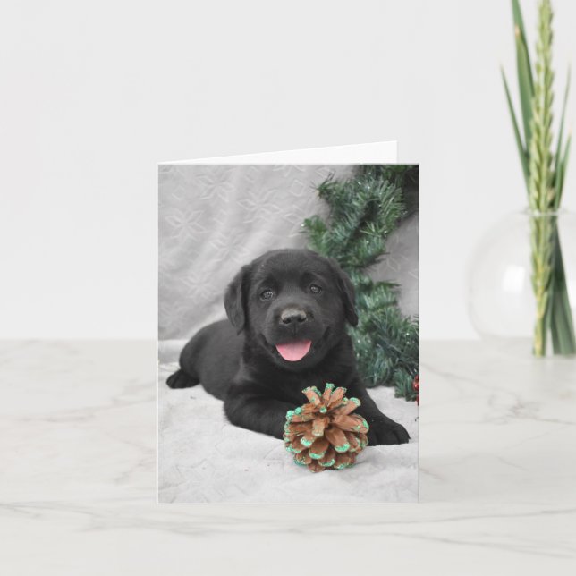 Christmas black Labrador Retriever puppy Thank You Card (Front)