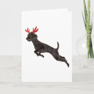 Christmas Black Toy Poodle Dog Reindeer Antlers Holiday Card
