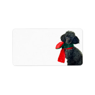 Christmas Black Toy Poodle Dog Reindeer Red Scarf Label