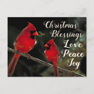 Christmas Blessings, Love Peace Joy, Cardinals Postcard