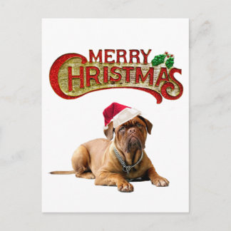 Christmas Bordeauxdog Holiday Postcard