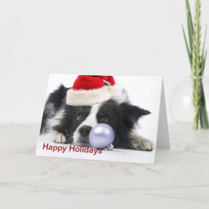 christmas border collie holiday card