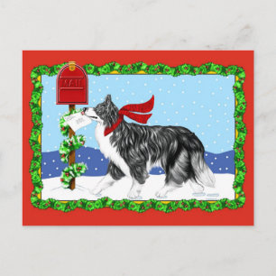 Christmas Border Collie Mail Holiday Postcard