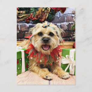 Christmas - Border Terrier - Reagan Holiday Postcard