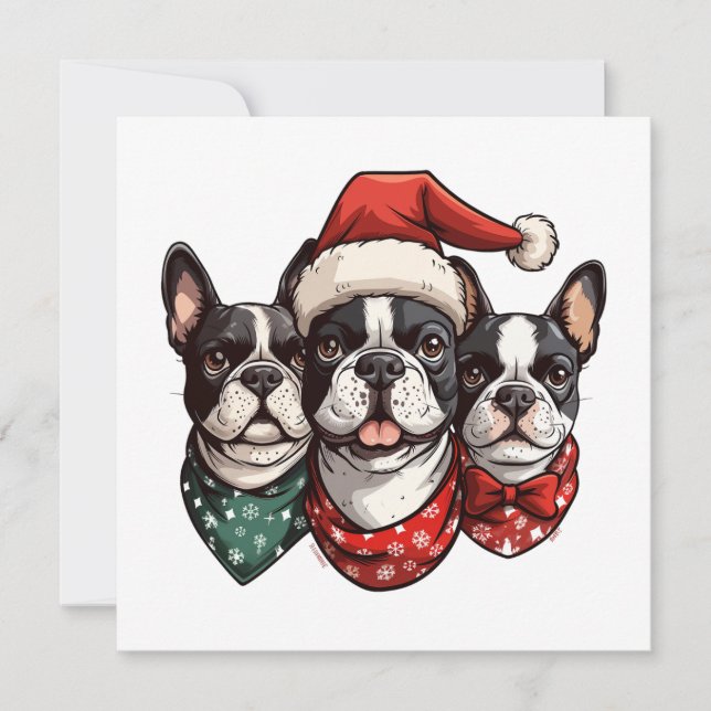 Christmas Boston Terrier Dogs Holiday Card (Front)