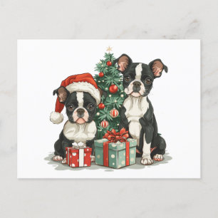 Christmas Boston Terrier Dogs Postcard