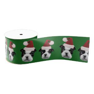 Christmas Boston Terrier Green 3" grosgrain ribbon