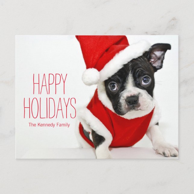Christmas boston terrier holiday postcard (Front)
