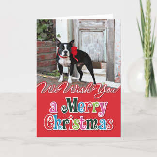 Christmas - Boston Terrier - Miles Holiday Card