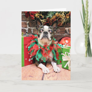 Christmas - Boston Terrier - Natty Holiday Card