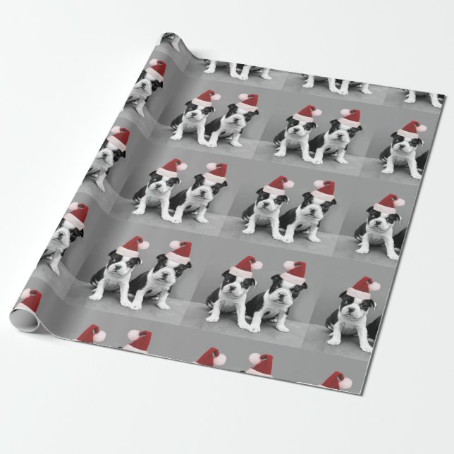Christmas Boston Terrier puppies Wrapping Paper (Unrolled)