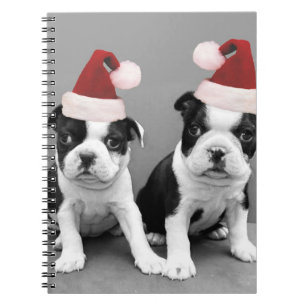 Christmas Boston terriers Notebook