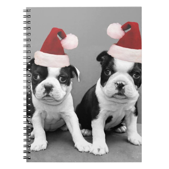 Christmas Boston terriers Notebook (Front)