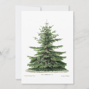 Christmas Botanical Pine Tree Greeting Card