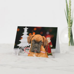 Christmas Boxer dog Greeting card