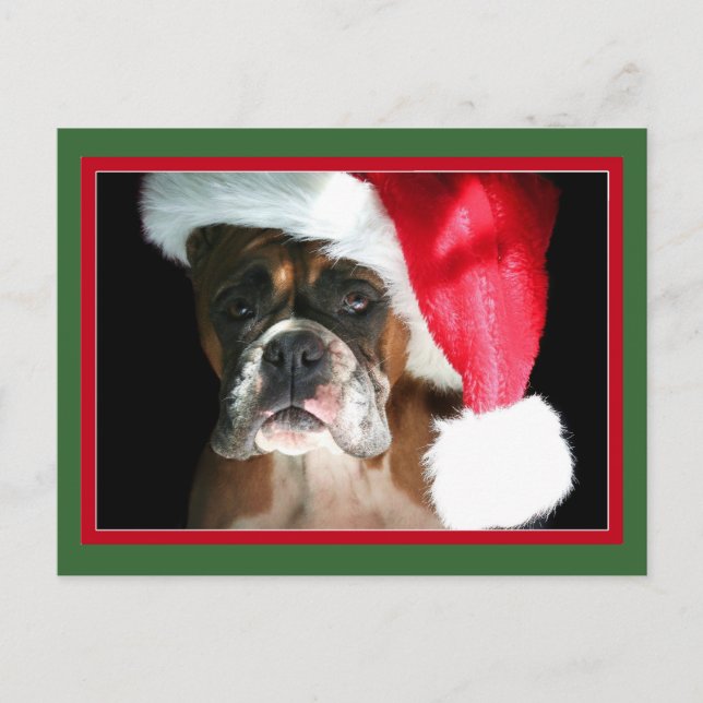 Christmas Boxer Dog postcard (Front)
