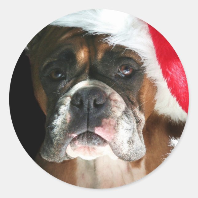 Christmas Boxer Dog stickers (Front)
