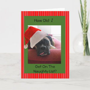 Christmas Boxer Holiday Card