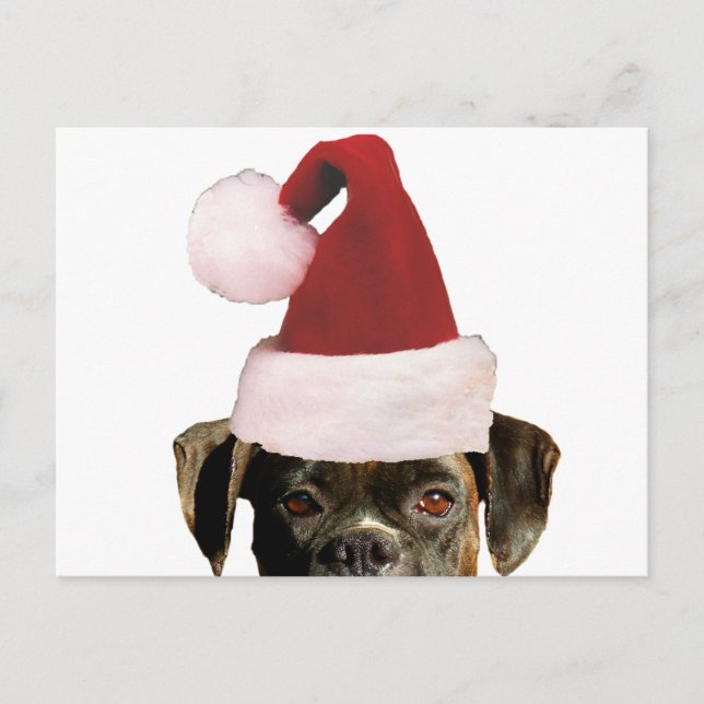 Christmas boxer postcard (Front)