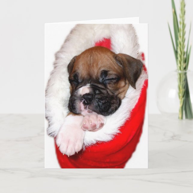Christmas boxer puppy greeting card (Front)