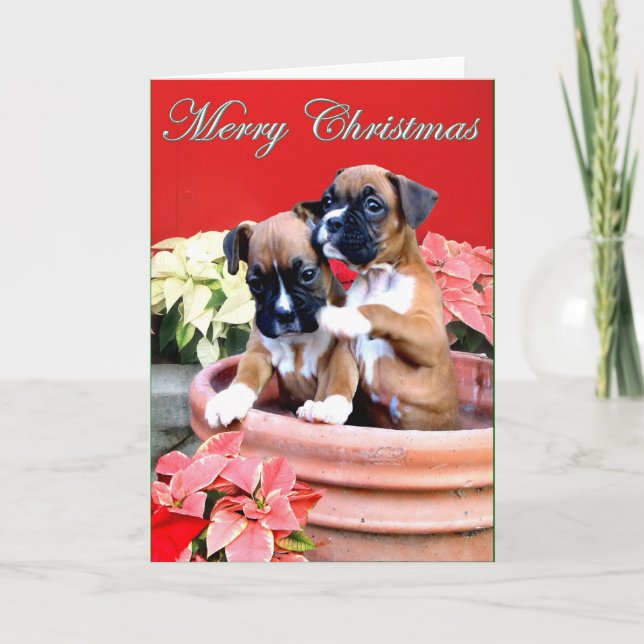 Christmas boxer puppy greeting card (Front)