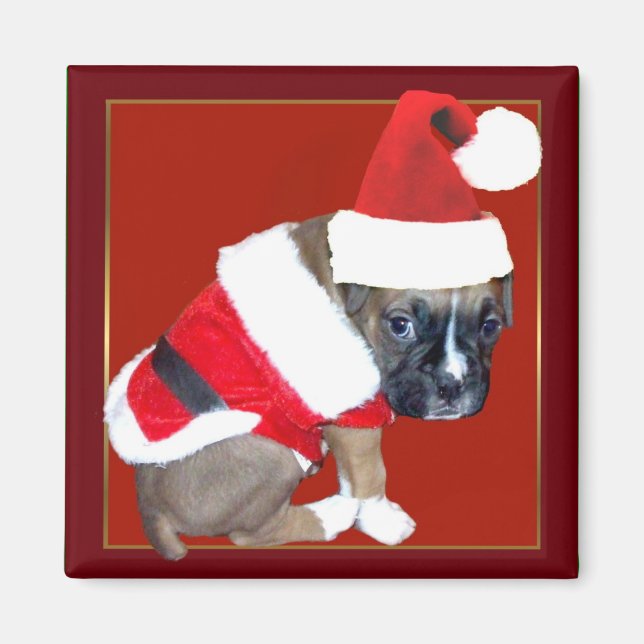 Christmas boxer puppy magnet (Front)