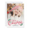Christmas Branches Holiday Photo Card
