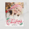 Christmas Branches Merry Christmas Photo Card