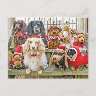 Christmas brings the whole family together holiday postcard