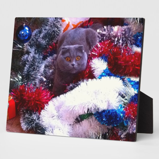 Christmas British blue cat Plaque (Side)
