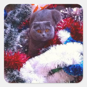 Christmas British blue cat Square Sticker
