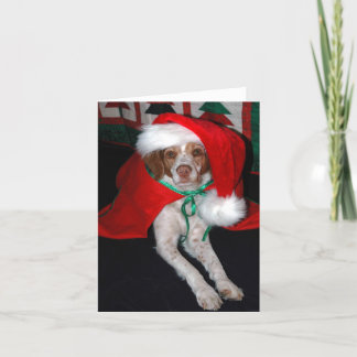 CHRISTMAS BRITTANY HOLIDAY CARD