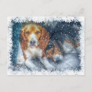 Christmas Brothers Holiday Postcard