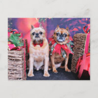 Christmas - Brussels Griffon - Marv and Marge