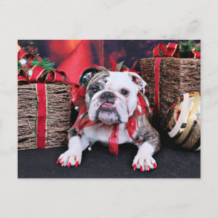 Christmas - Bulldog - Delilah Holiday Postcard