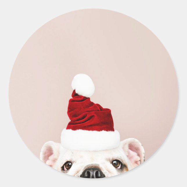 CHRISTMAS BULLDOG STICKER (Front)