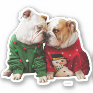 Christmas Bulldogs in Sweaters