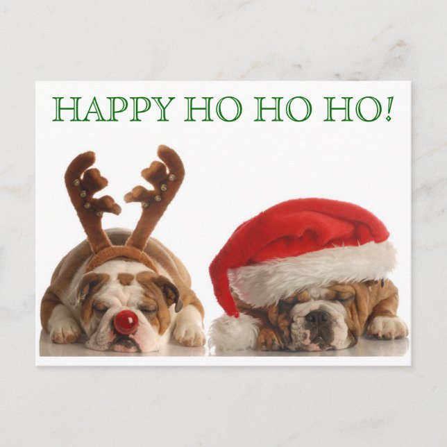 Christmas Bulldogs Postcard 2 (Front)