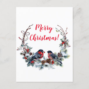 Christmas Bullfinch Holiday Postcard