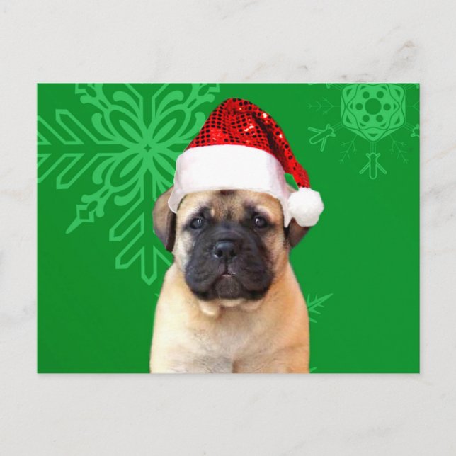 Christmas Bullmastiff puppy Holiday Postcard (Front)