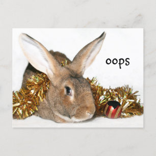 Christmas bunny boo boo holiday postcard
