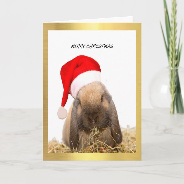 "Christmas Bunny" design Christmas cards (Front)