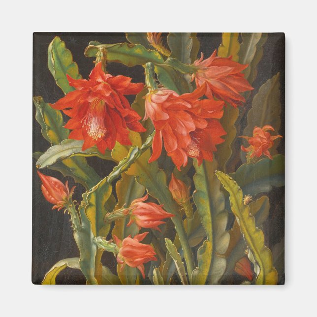 Christmas Cactus |  Christian Möllback Magnet (Front)