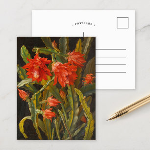Christmas Cactus    Christian Möllback Postcard