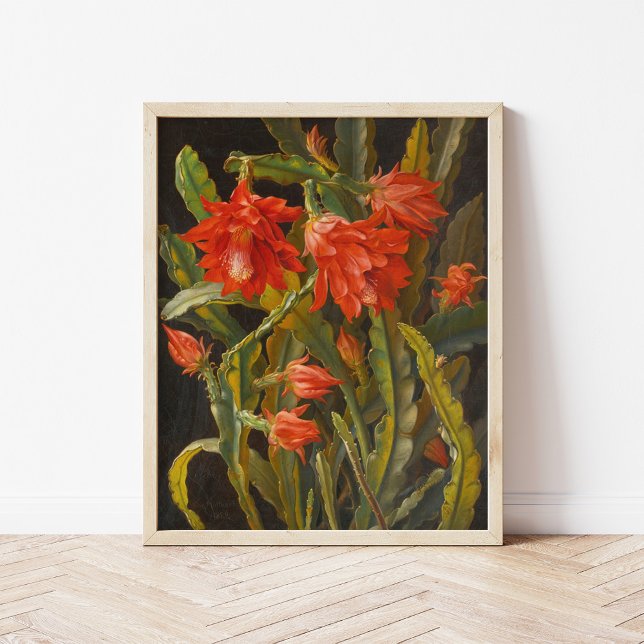 Christmas Cactus |  Christian Möllback Poster (Creator Uploaded)