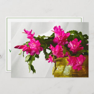 Christmas Cactus Closeup Photograph Invitation