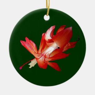 Christmas Cactus Epiphyte Ornament